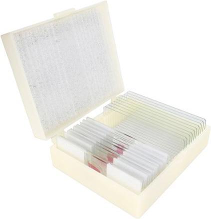 Produktbild Konus Preparate Set Human Body (25 Stk.)