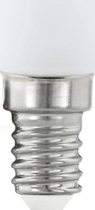 Produktbild EGLO LED Leuchtmittel (E14, 2.50 W, 210 lm, 1 x, G)