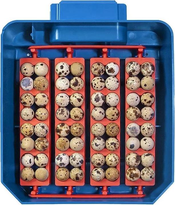 Produktbild APS Brutapparat 16 Eier Wasserspender vollautomatisch Brutmaschine Brutautomat