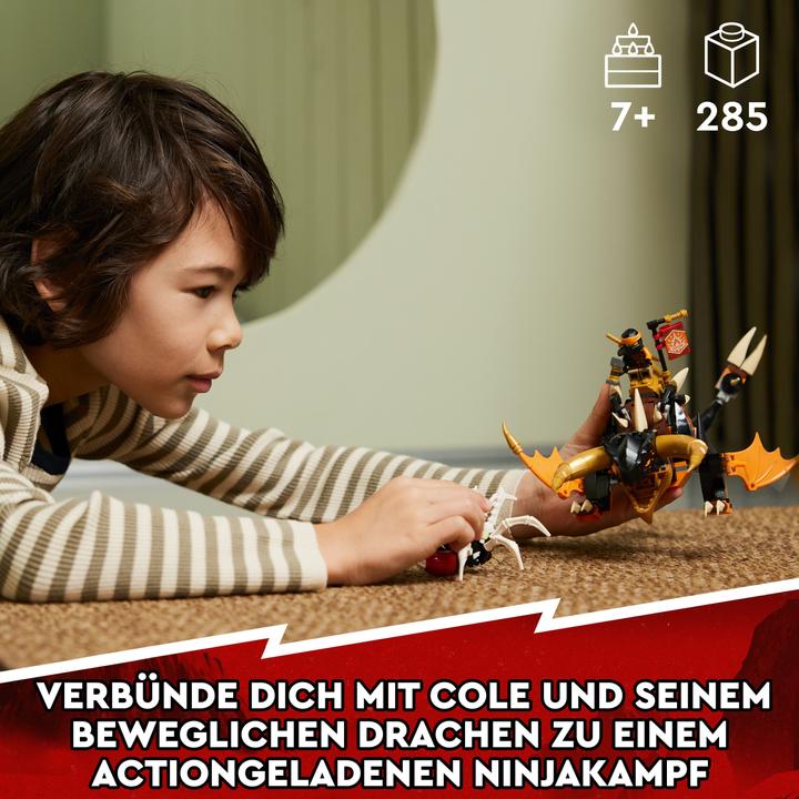 Produktbild LEGO Coles Erddrache EVO (71782, LEGO Ninjago)