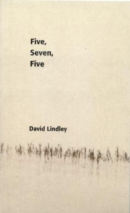 Produktbild Lindley, D: Five, Seven, Five (Englisch, David, Lindley, 2003)