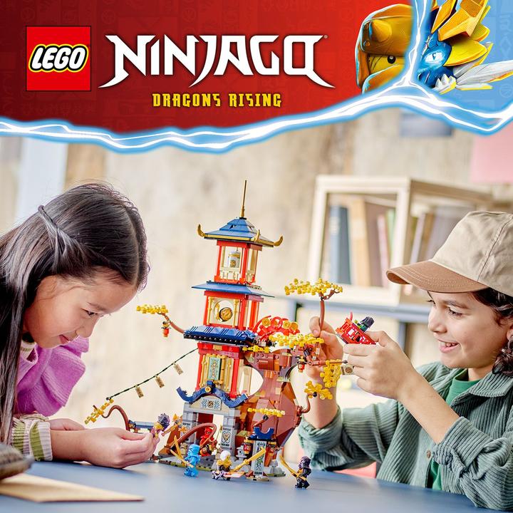 Immagine prodotto LEGO NINJAGO - Il Tempio del Potere del Drago (71795, LEGO Ninjago)