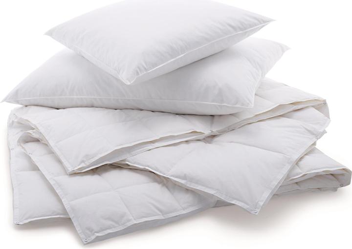 Produktbild Billerbeck Jack Kissen (60 x 90 cm)