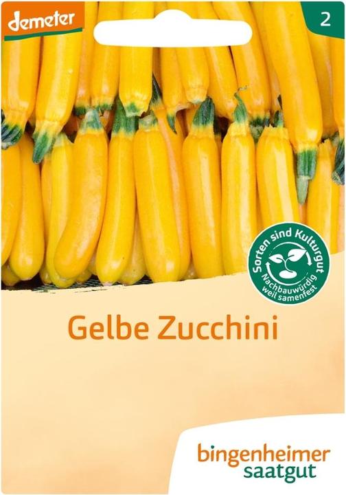 Image du produit Bingenheimer Saatgut Zucchini Gelb Solara (Graines de légumes)