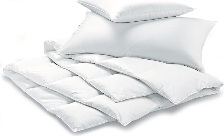 Produktbild Billerbeck Jack Kissen (60 x 90 cm)