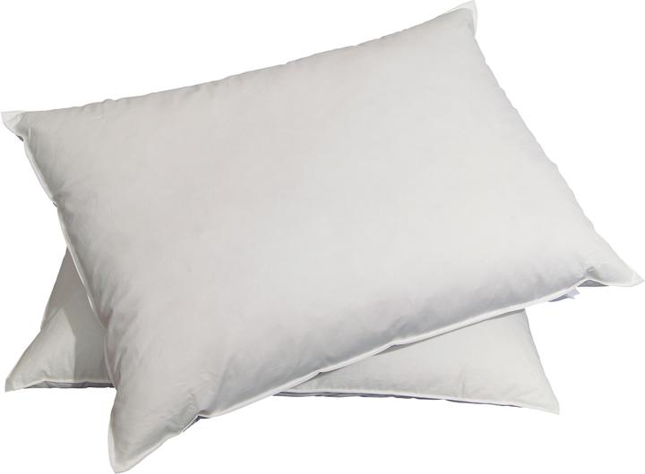 Produktbild Billerbeck Jack Kissen (60 x 90 cm)