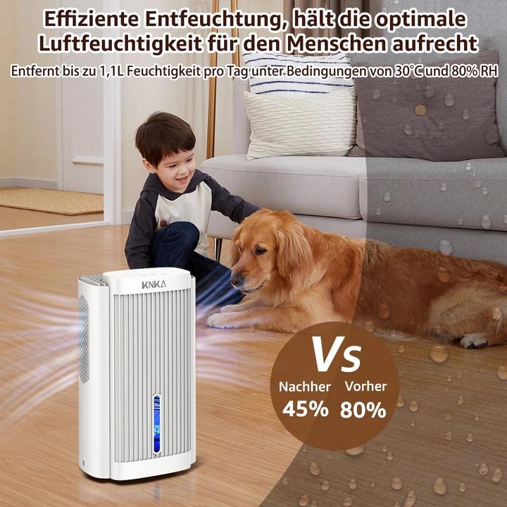 Actual product image Knka Luftentfeuchter (30 m²)