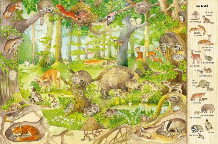 Productafbeelding Mein grosses Tiere-Wimmelbuch (Duits, Christine Henkel, 2021)