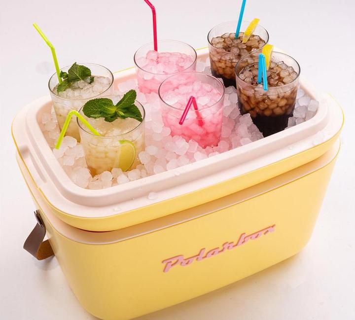 Actual product image Polarbox Retro Cooler (20 l)