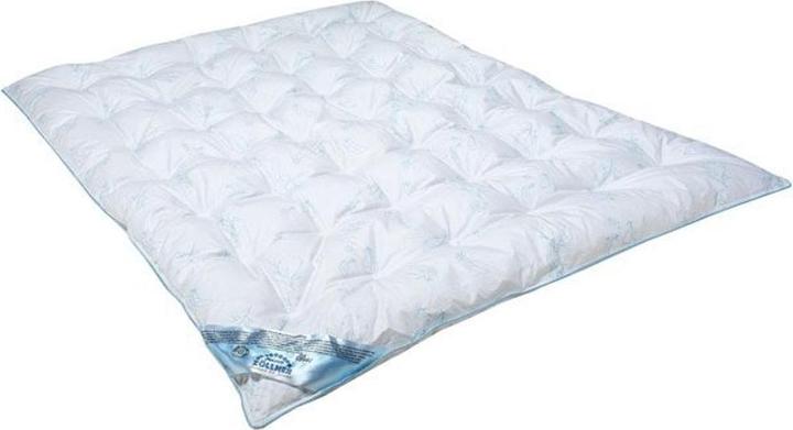 Produktbild Julius Zöllner Kinder-Duvet Daune 100 x 135 cm