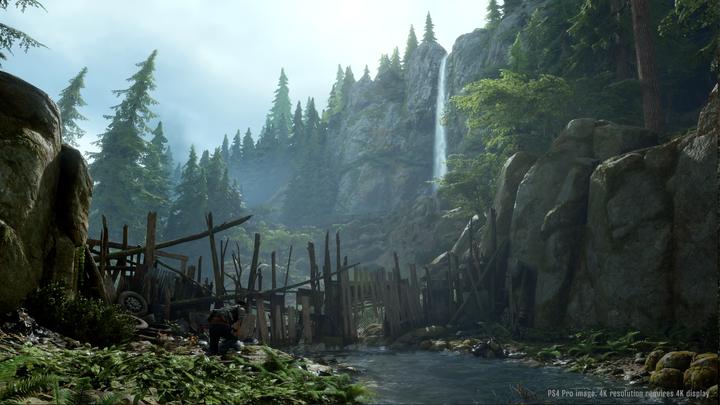 Image du produit Sony Days Gone, PS4 Standard PlayStation 4 (PS4)