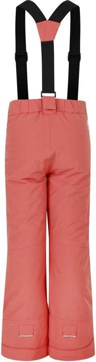 Actual product image Dare2b Outmove II Pant (164)