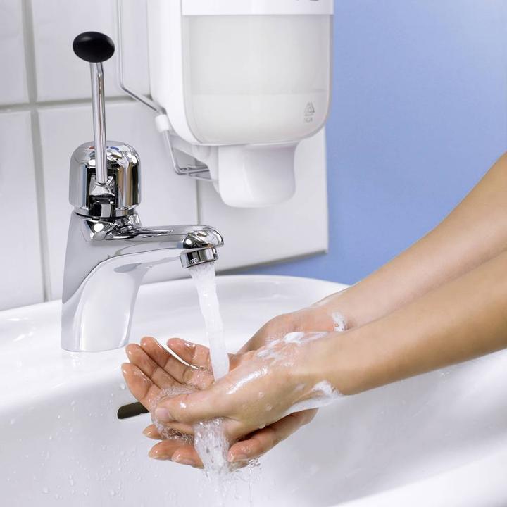 Actual product image Tork Extra Mild Mini (Liquid soap, 475 ml)