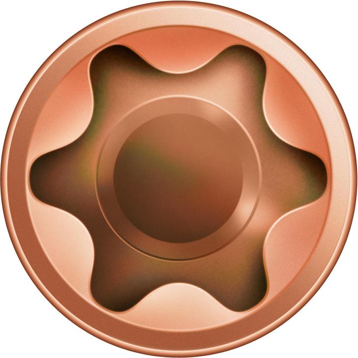 Image du produit Spax D Vis pour terrasse en bois à tête cylindrique 5.0x 50 Torx 25 Acier inoxydable A2 antique (1 Vis par pièce)