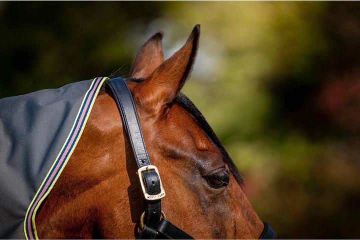 Produktbild Horseware Weidedecke Amigo Bravo 12 Plus TO lite 0g (140 cm)