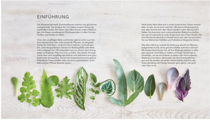 Image du produit Das grosse Buch der Zimmerpflanzen (Allemand, Zia Allaway, Fran Bailey, Éditeur DK, Reinhard Ferstl, 2024)