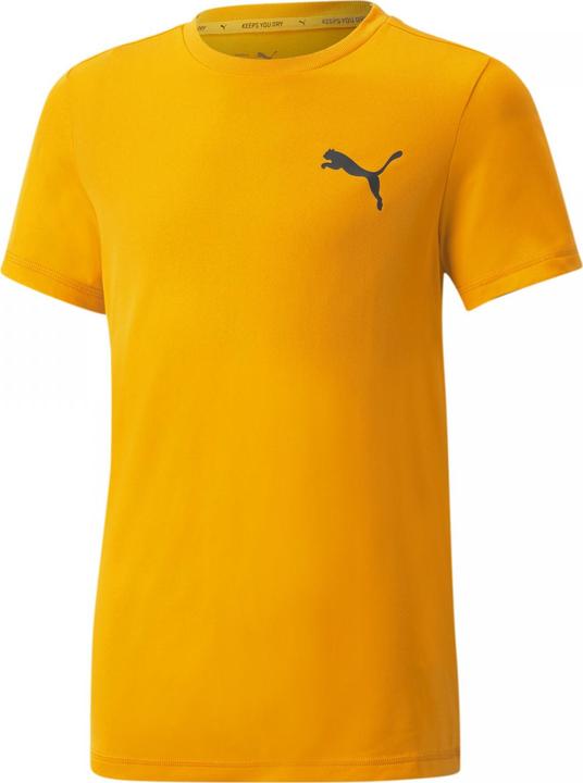 Actual product image Puma ACTIVE Small Logo Tee-586980 (164)