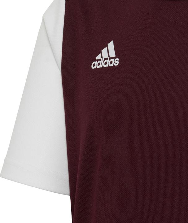 Produktbild adidas Estro 19 Trikot Kinder (164)