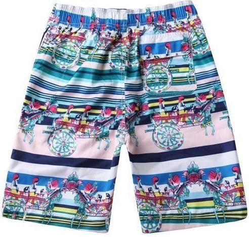 Hermex Stylische Surfer Badehose Badeshorts Short Hose / Grösse L (L)
