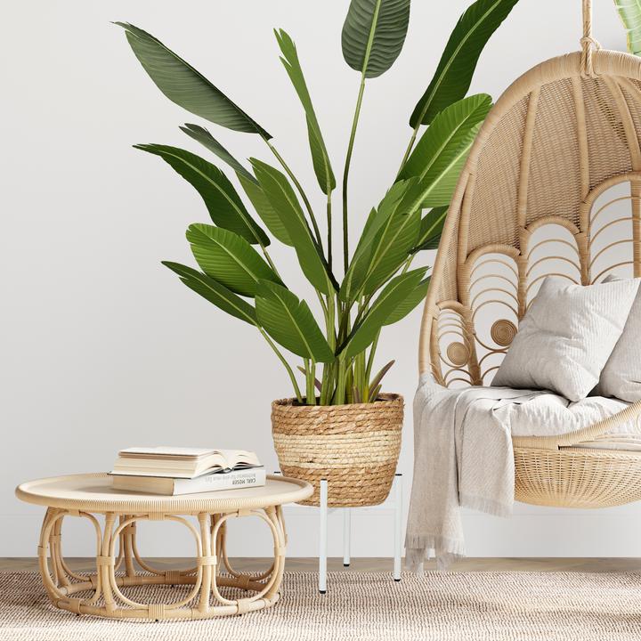 Image du produit Relaxdays Support de plantes réglable