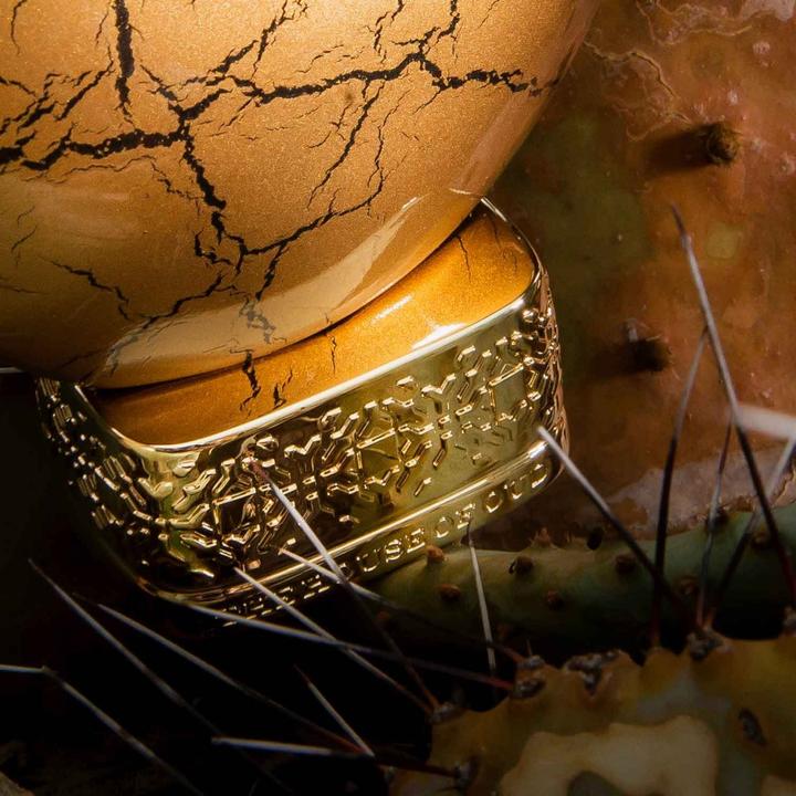 Immagine prodotto The House of Oud Polvere d'oro (Eau de parfum, 75 ml)