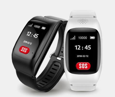 Produktbild Blaupunkt Private Sentinel Watch with 2G SIM Module (32 mm, 2G)