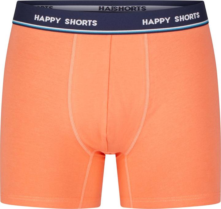 Immagine prodotto Happy shorts Maglia con pantaloni retrò (L, confezione da 3)