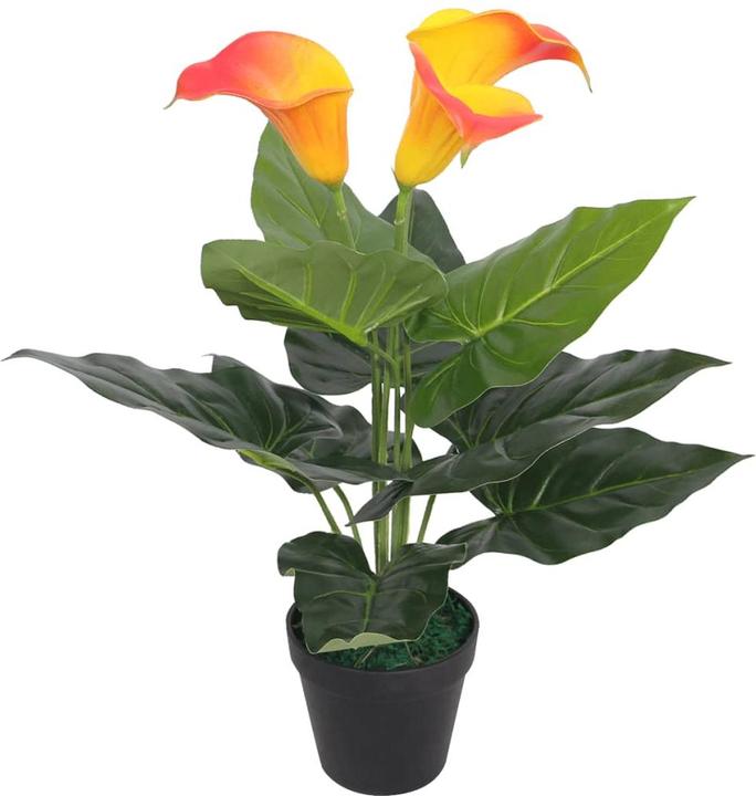 VidaXL Rhonda (45 cm)