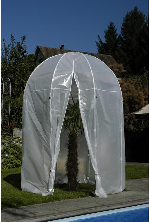 Produktbild Colibri Premium Palmenhaus