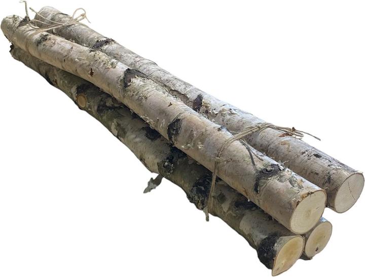 Natura Punto Birch wood branches for decoration