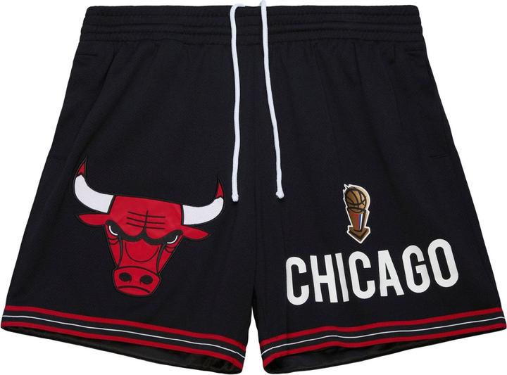 Mitchell & Ness ORIGINS Swingman Chicago Bulls Shorts - L (L)