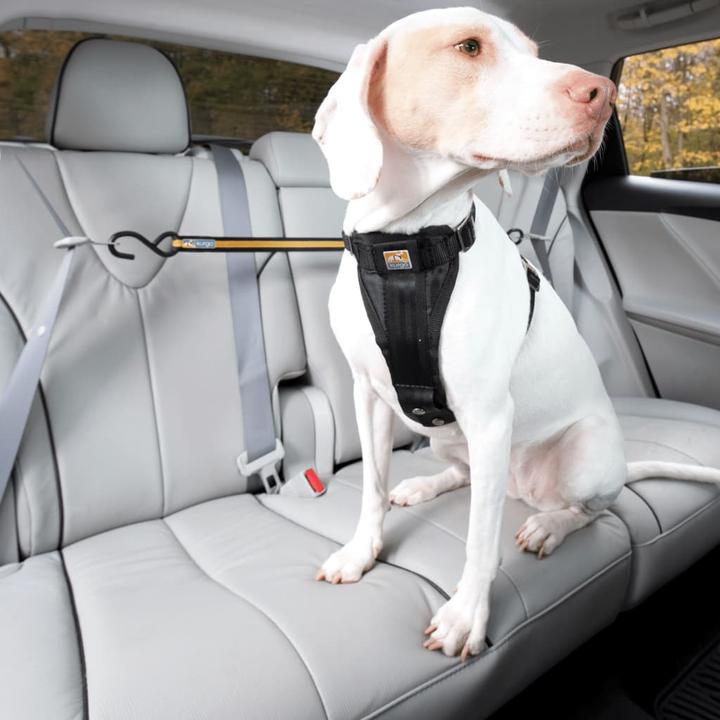Actual product image Kurgo Car Zip Line & Leash (Dog, Reflectors)