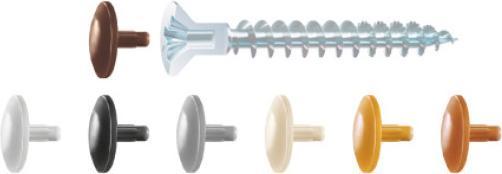Actual product image Spax Cap R 89013 head bore white plastic