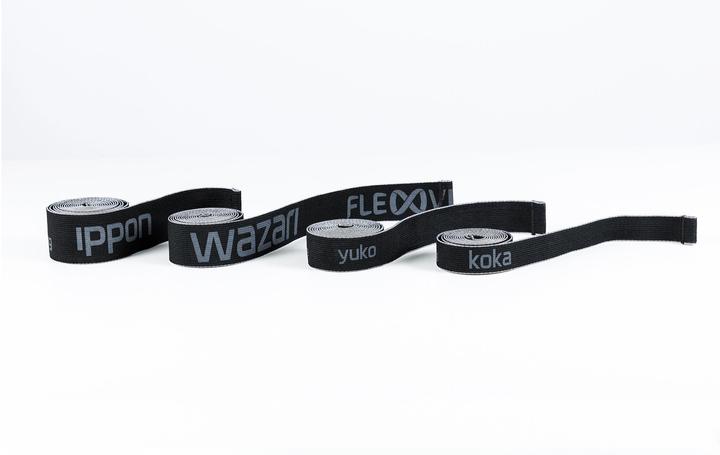 Produktbild Flexvit Sparring 4er Set "all-in" (Stark, Mittel, Extra Stark, Leicht)