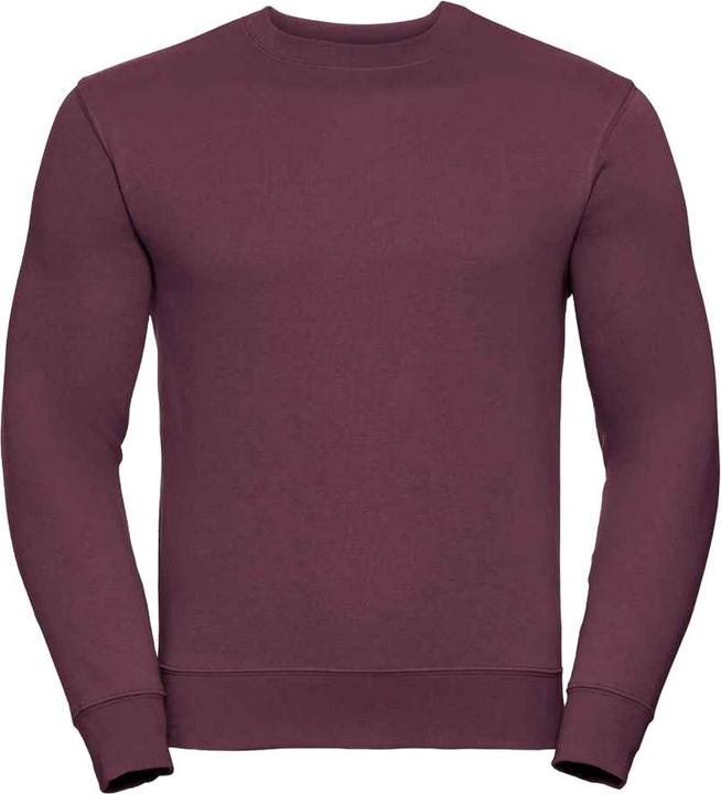 Immagine prodotto Russell Authentic Felpa con Cappuccio Uomo (XS)