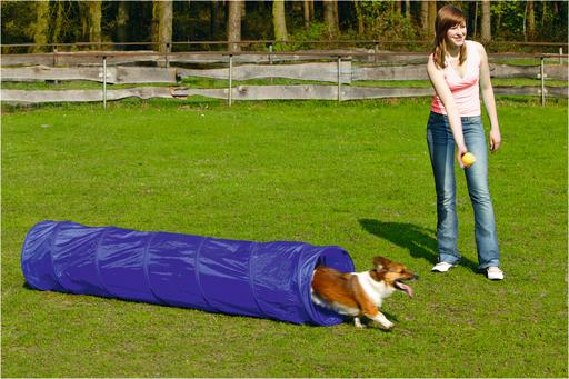 Beeztees BZ AGILITY TUNNEL SMALL 198X40 (Agility)