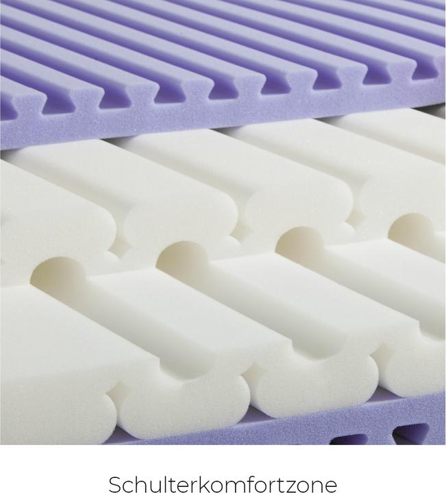 Image du produit Sleepwell24 les allergiques de Bâle (95 x 190 cm, Noyau de mousse)
