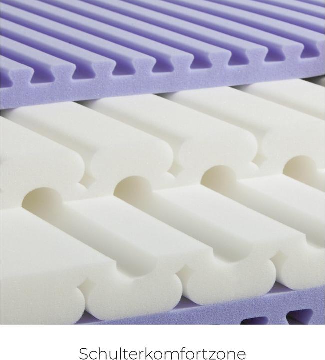 Image du produit Sleepwell24 les allergiques de Bâle (120 x 220 cm, Noyau de mousse)