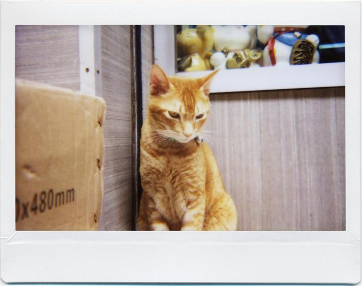 Actual product image Lomo Instant Wide Lens Combo Central Park Edition