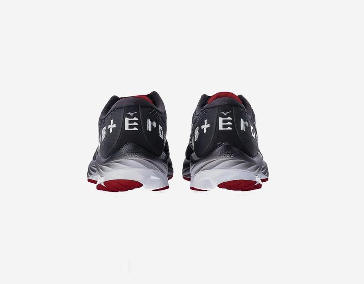 Image du produit Mizuno Wave Rider Amsterdam (47)