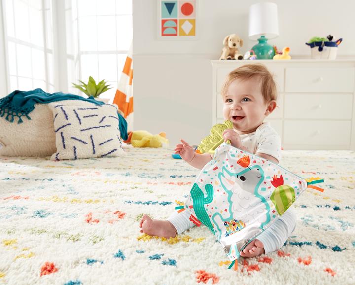 Actual product image Fisher-Price Teethe & Cuddle Cactus