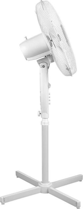 Actual product image Teesa Fan