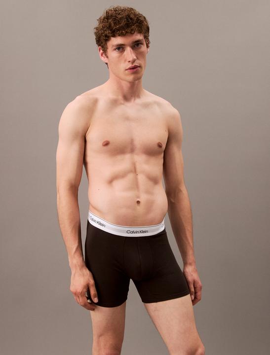 Immagine prodotto Calvin Klein Boxer Brief 3pk (XS)