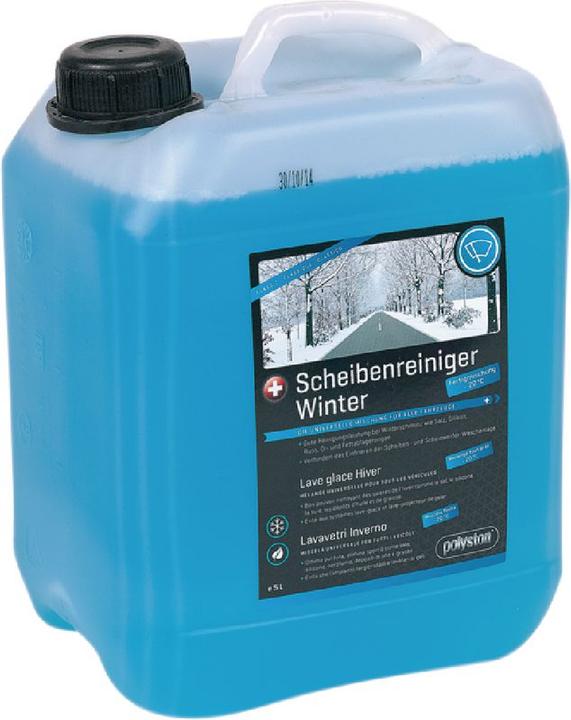 Polyston Winter Scheibenreiniger (5 l)