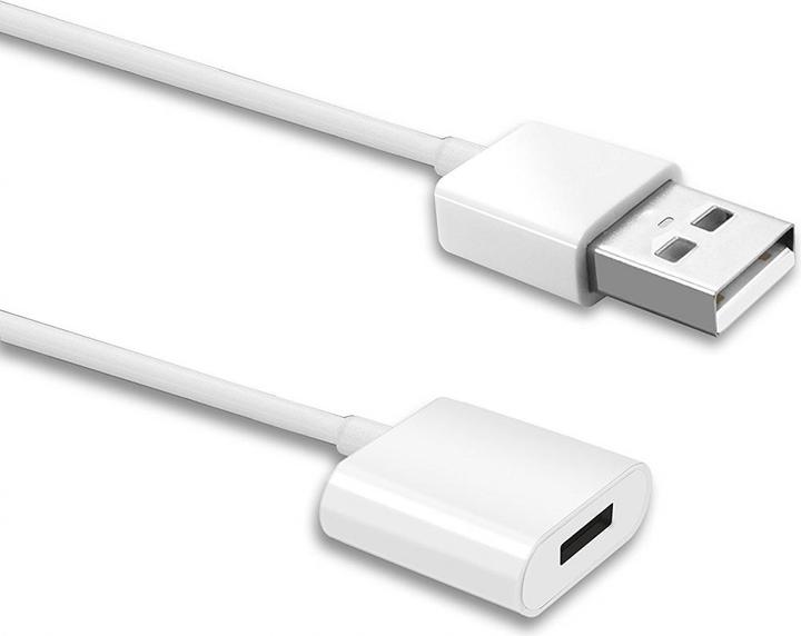 PowerGuard Cavo di ricarica USB con connettore Lightning per la stilo Apple Pencil (USB 3.2 Gen 1)