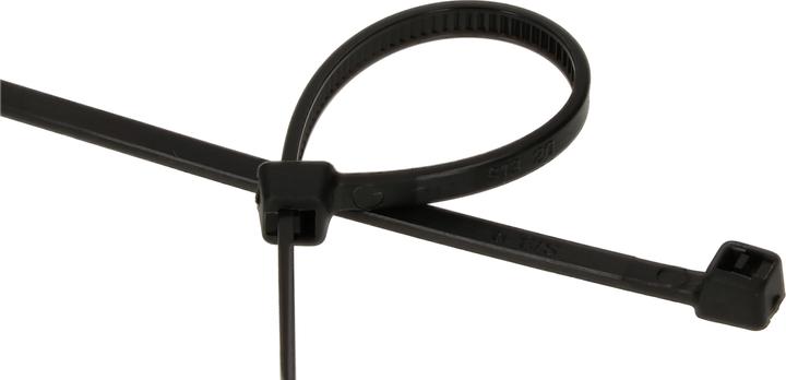Actual product image Max Hauri Cable ties (Plastic cable ties, 100 mm, 100 pcs.)