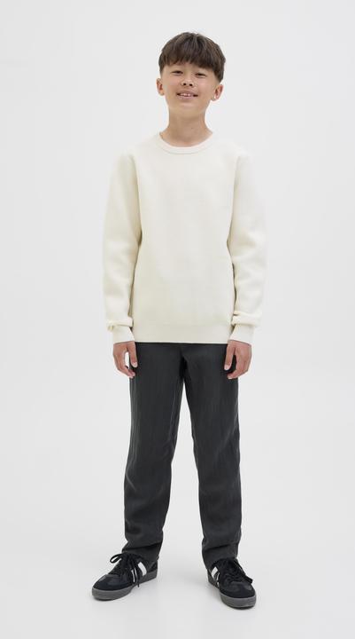 Actual product image Jack & Jones Loose Fit Hosen Junior Loose Fit Hosen (164)