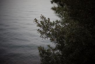 Image du produit Voigtländer Nokton 50mm / 1.2 VM asph. (Leica M, Plein format)