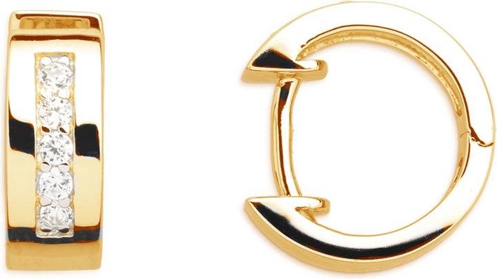 Xenox Gold Creolen (Silber 925)
