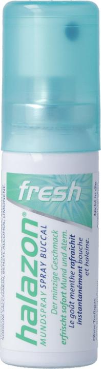 Halazon Fresh fresh Mundspray ohne Treibgas (15 ml, Mundspray)